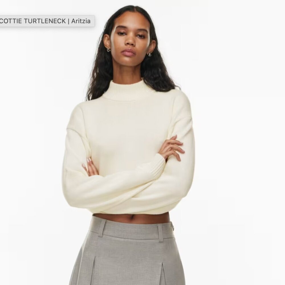 Aritzia Scottie Turtleneck